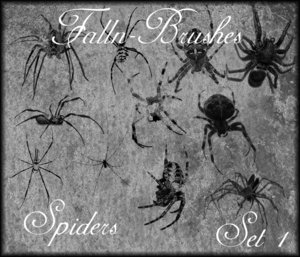 Spider_Brushes_Set_1_by_Falln_Brushes